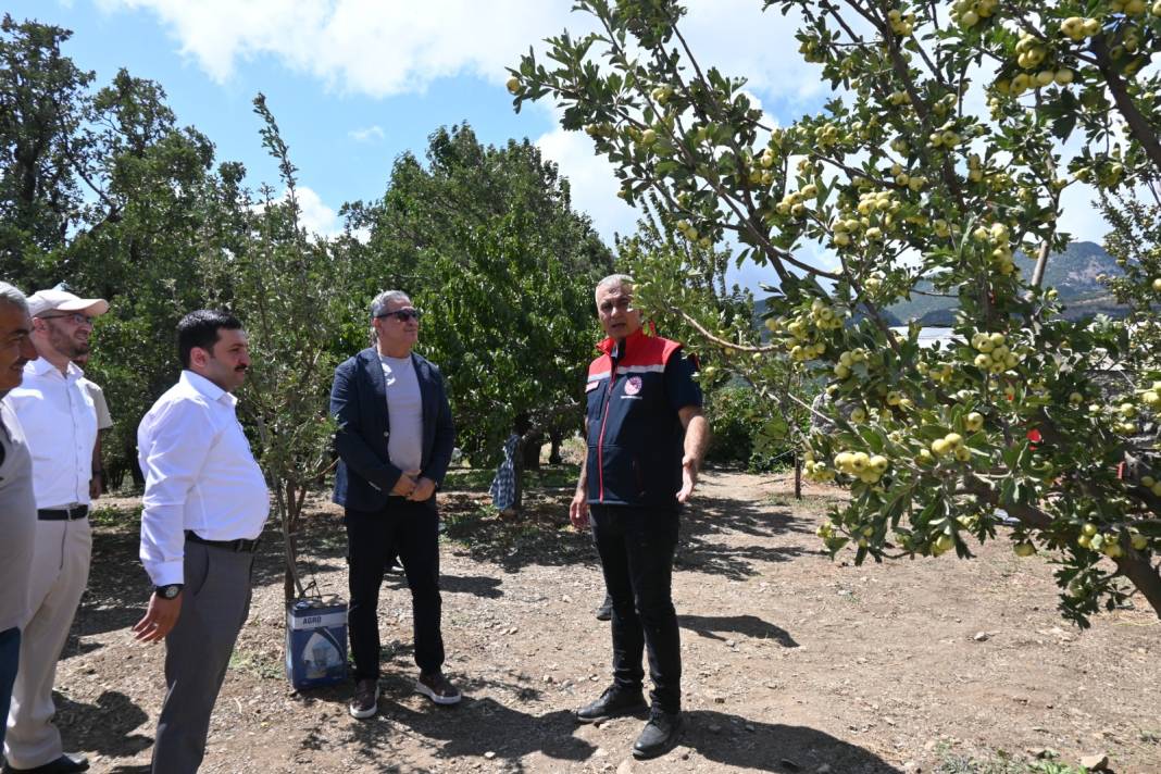 Kilosu 200 liradan satılıyor: Hatay'da hasadı yeni başladı 5